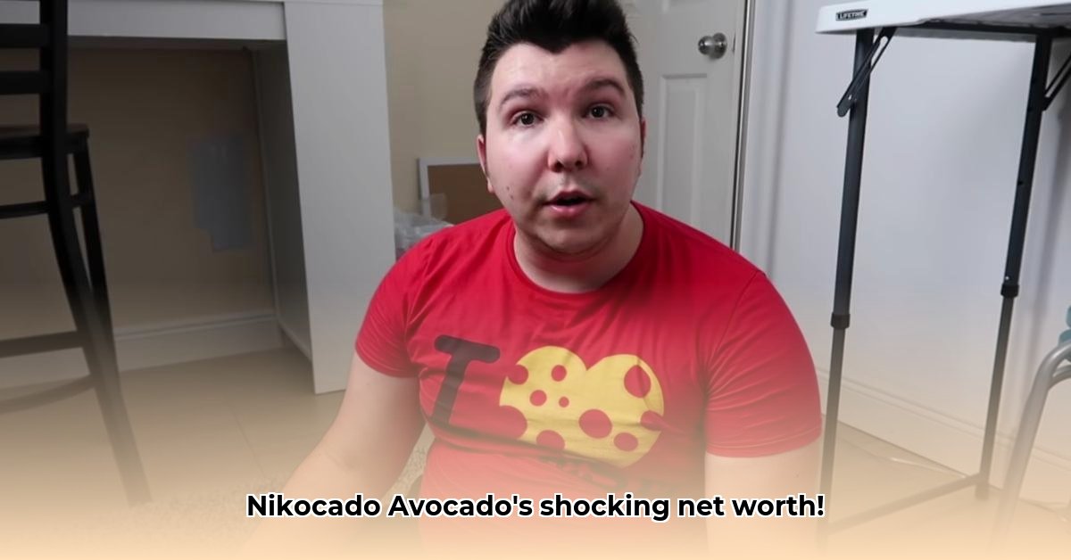 nikocado-avocado-net-worth